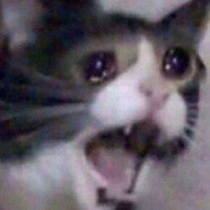 Meet your Posher, Zebra